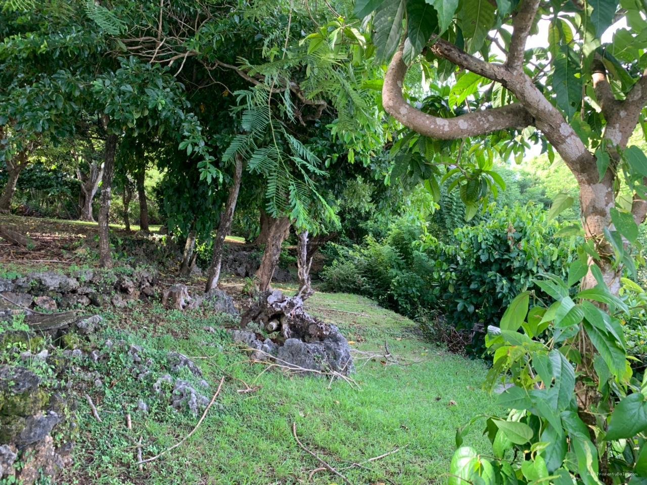 Tanah tebing pantai green bowl jimbaran