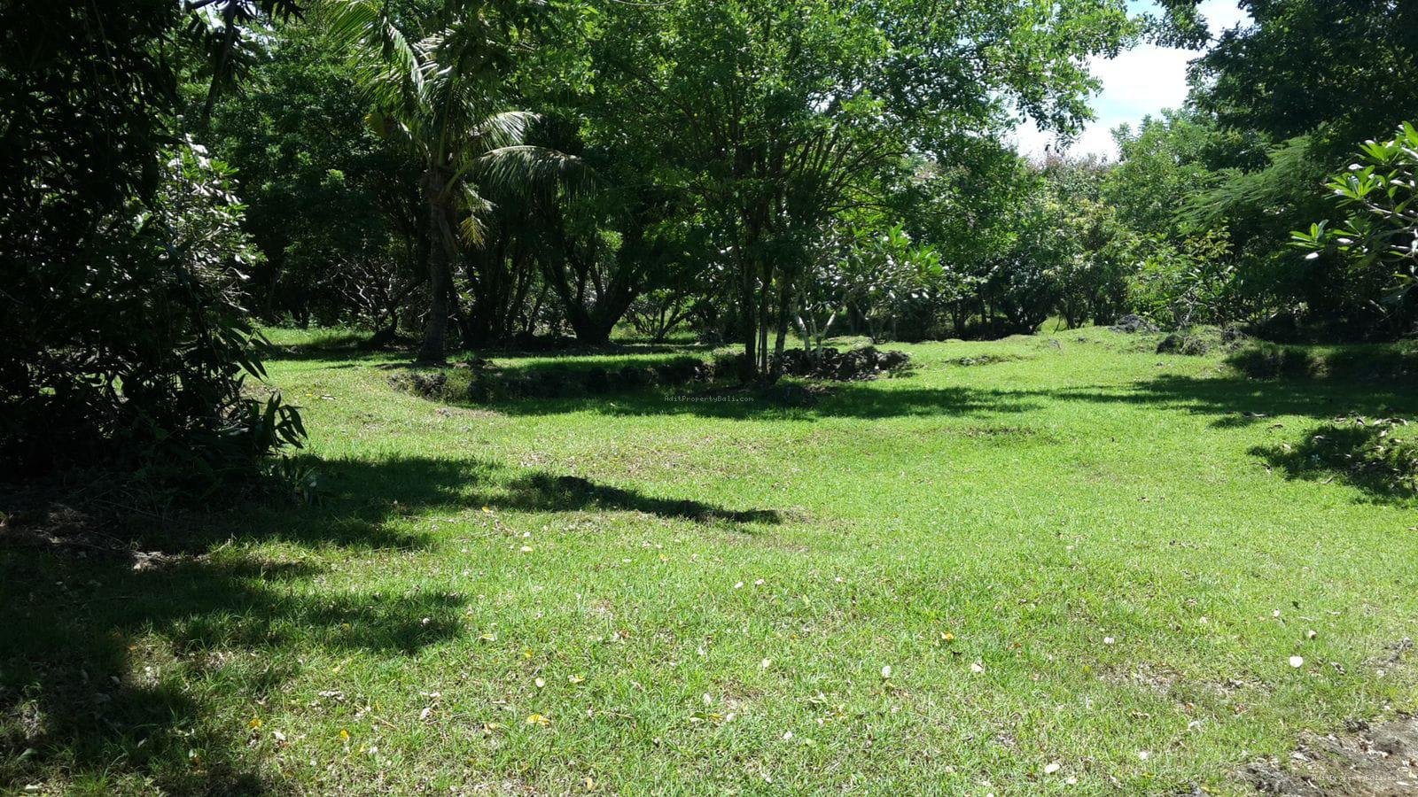 Tanah murah tebing pantai green bowl jimbaran