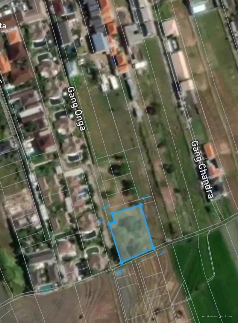 Tanah bumbak kerobokan