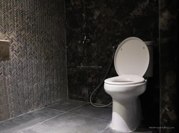 Villa petitenget seminyak