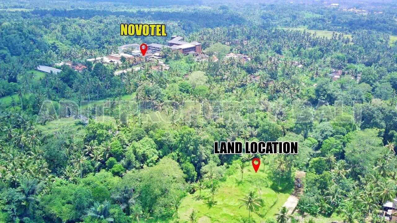 Tanah jungle payangan ubud