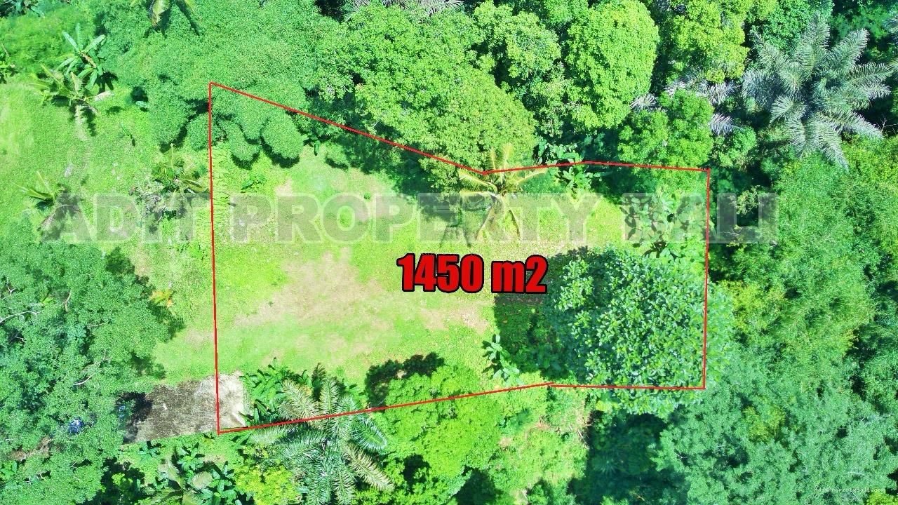 Tanah jungle payangan ubud