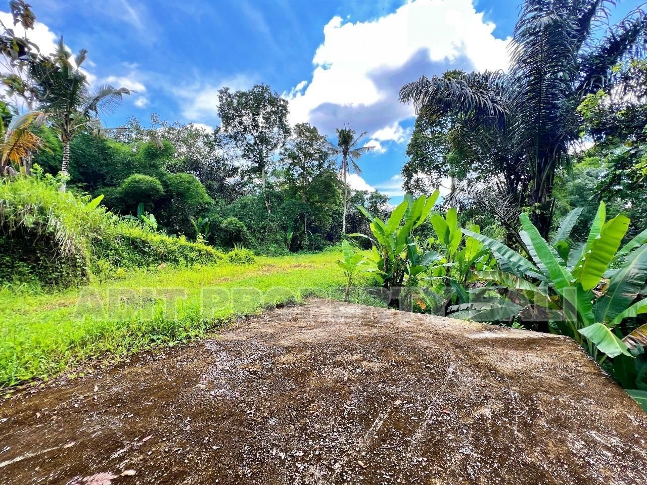 Tanah jungle payangan ubud