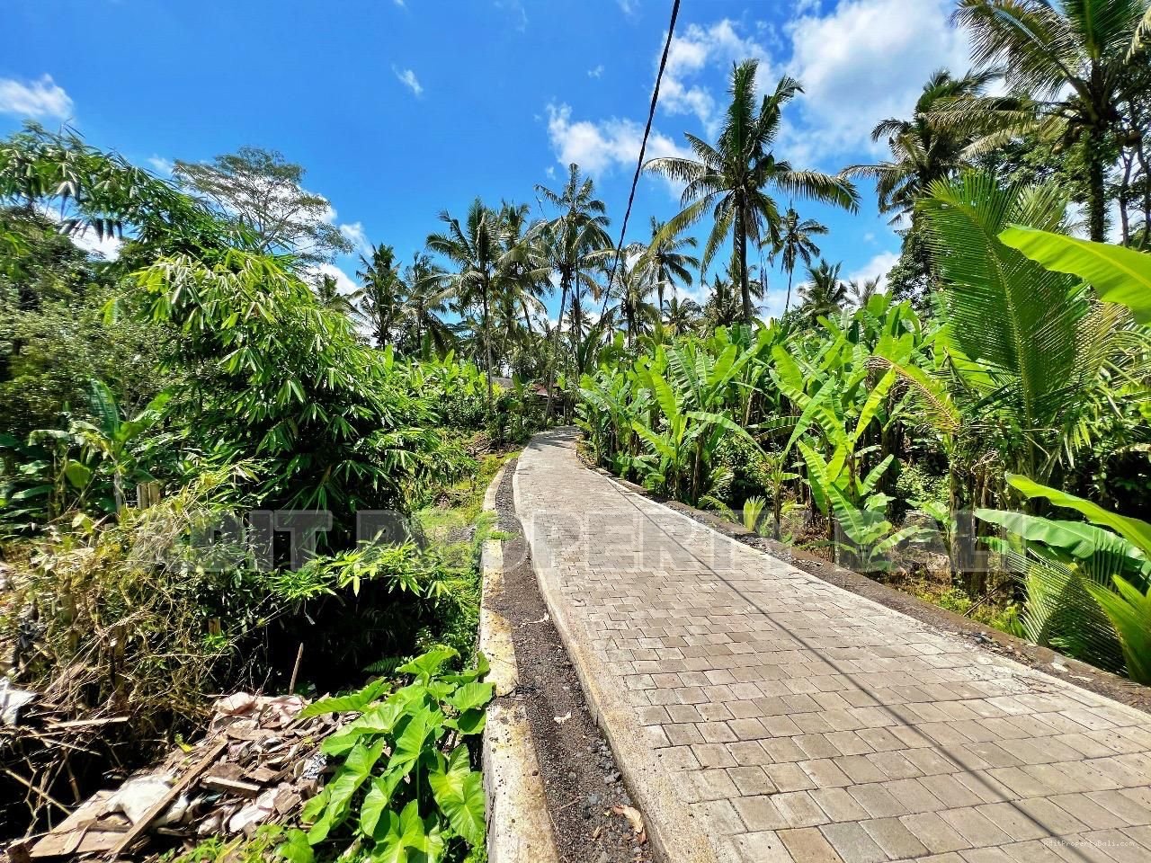 Tanah jungle payangan ubud