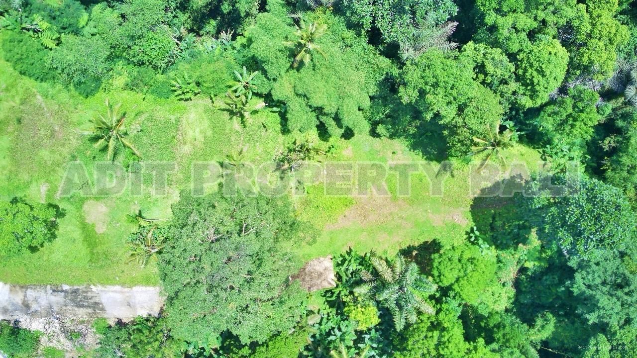 Tanah jungle payangan ubud