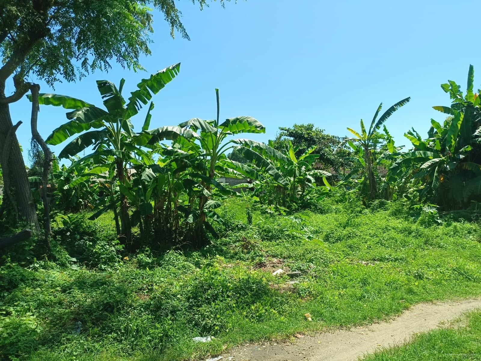 Tanah pratama nusa dua