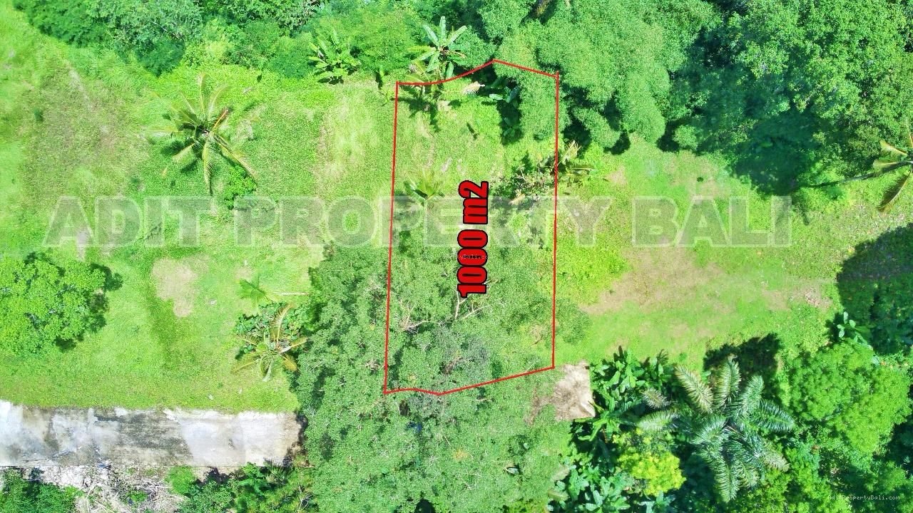 Tanah View Jungle & Sungai Payangan Ubud Gianyar