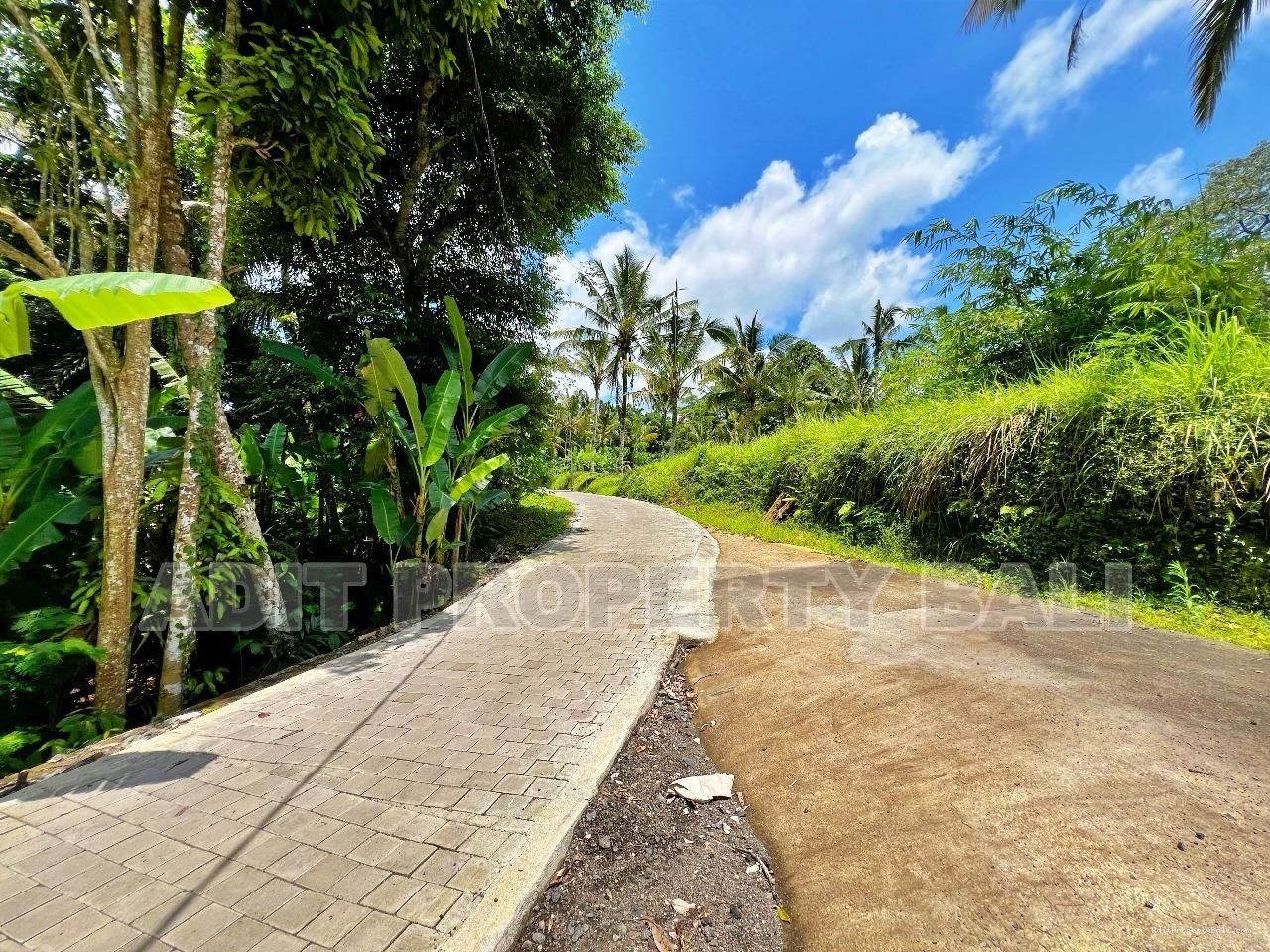 Tanah View Jungle & Sungai Payangan Ubud Gianyar
