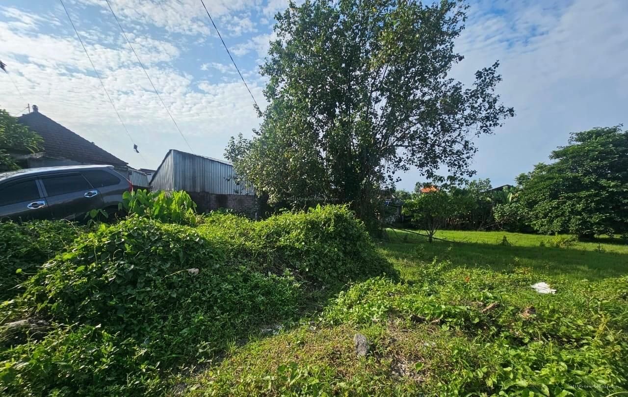 Tanah murah munggu mengwi