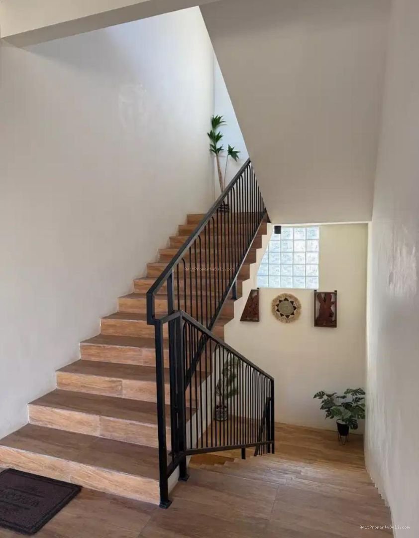 Kost Elite Kampus Udayana Jimbaran Badung Bali