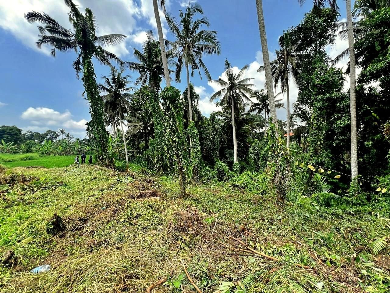 Tanah Tirta Tawar Ubud Gianyar