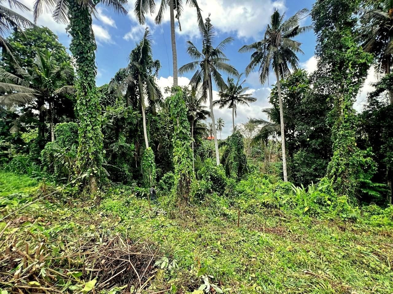 Tanah Tirta Tawar Ubud Gianyar