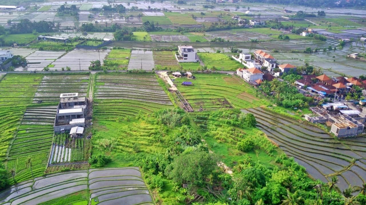 Tanah View Sawah Pantai Nyanyi Kediri Tabanan