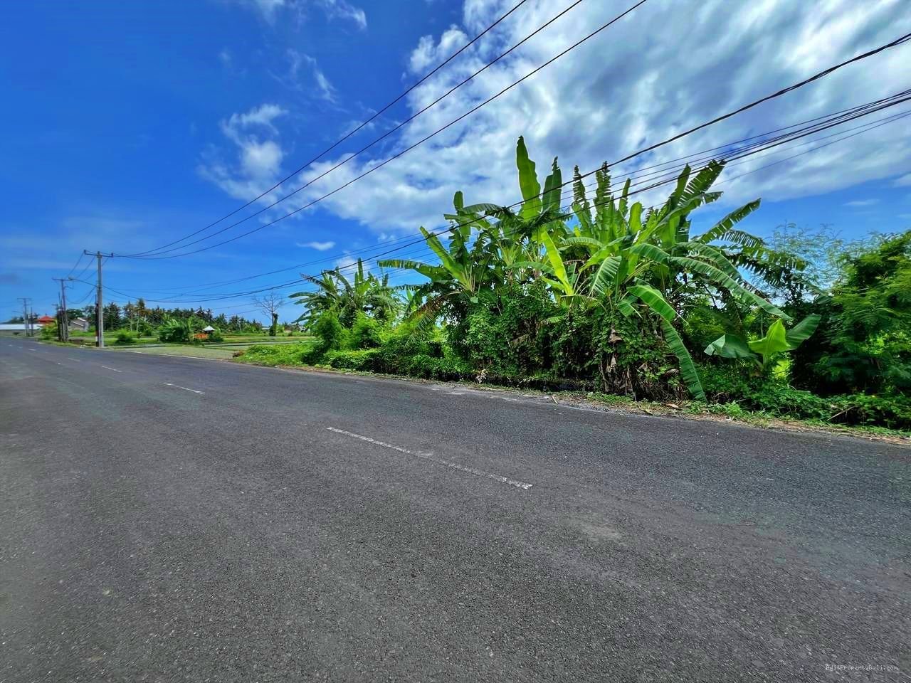 Tanah Premium Kebo Iwa Kediri Tabanan