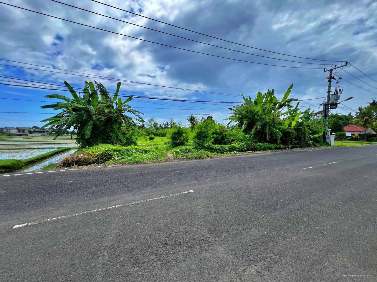 Tanah Premium Kebo Iwa Kediri Tabanan