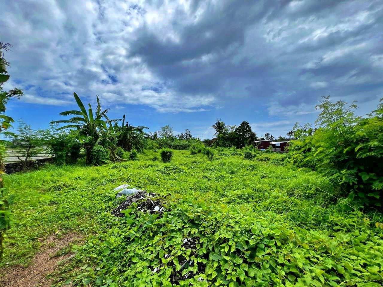 Tanah Premium Kebo Iwa Kediri Tabanan