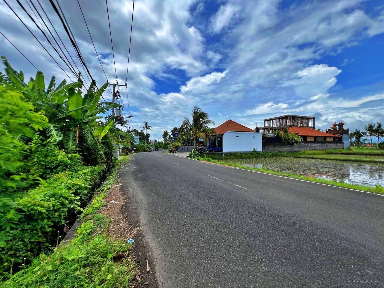 Tanah Premium Kebo Iwa Kediri Tabanan