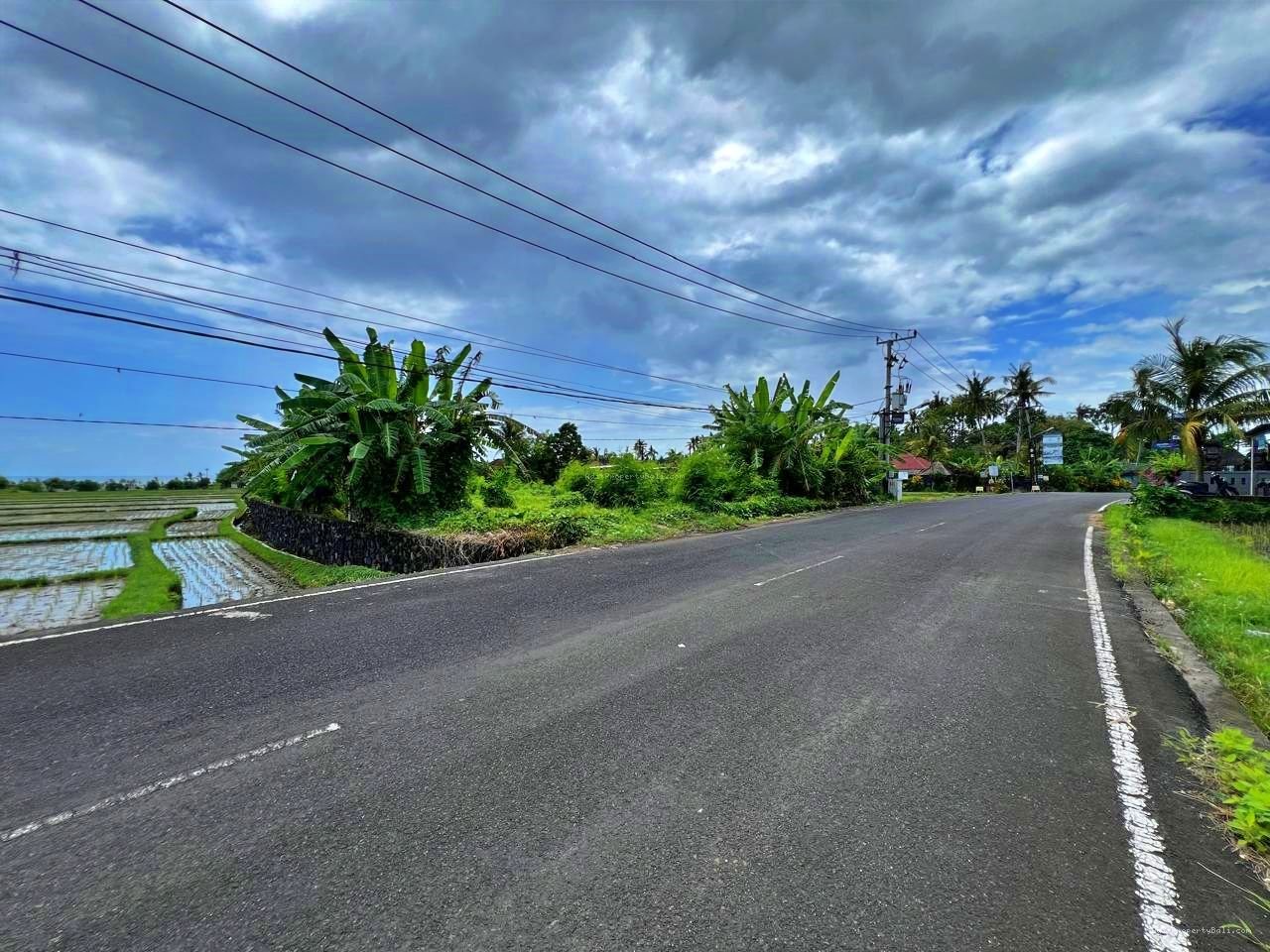 Tanah Premium Kebo Iwa Kediri Tabanan