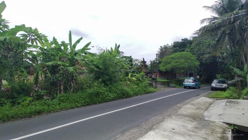 Tanah kedungu tabanan