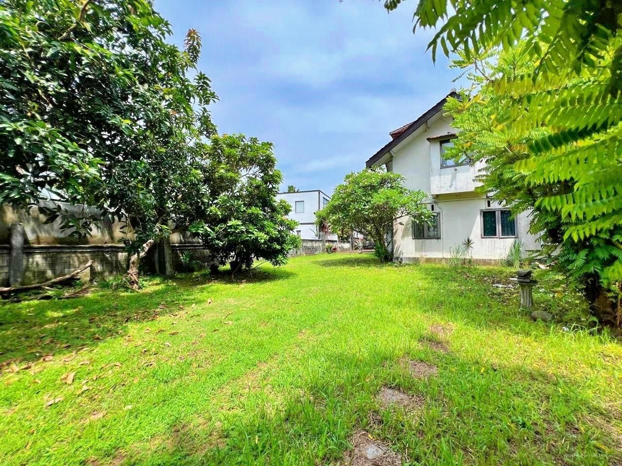 Tanah murah berawa canggu