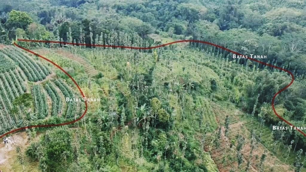 Tanah View bukit baturiti tabanan