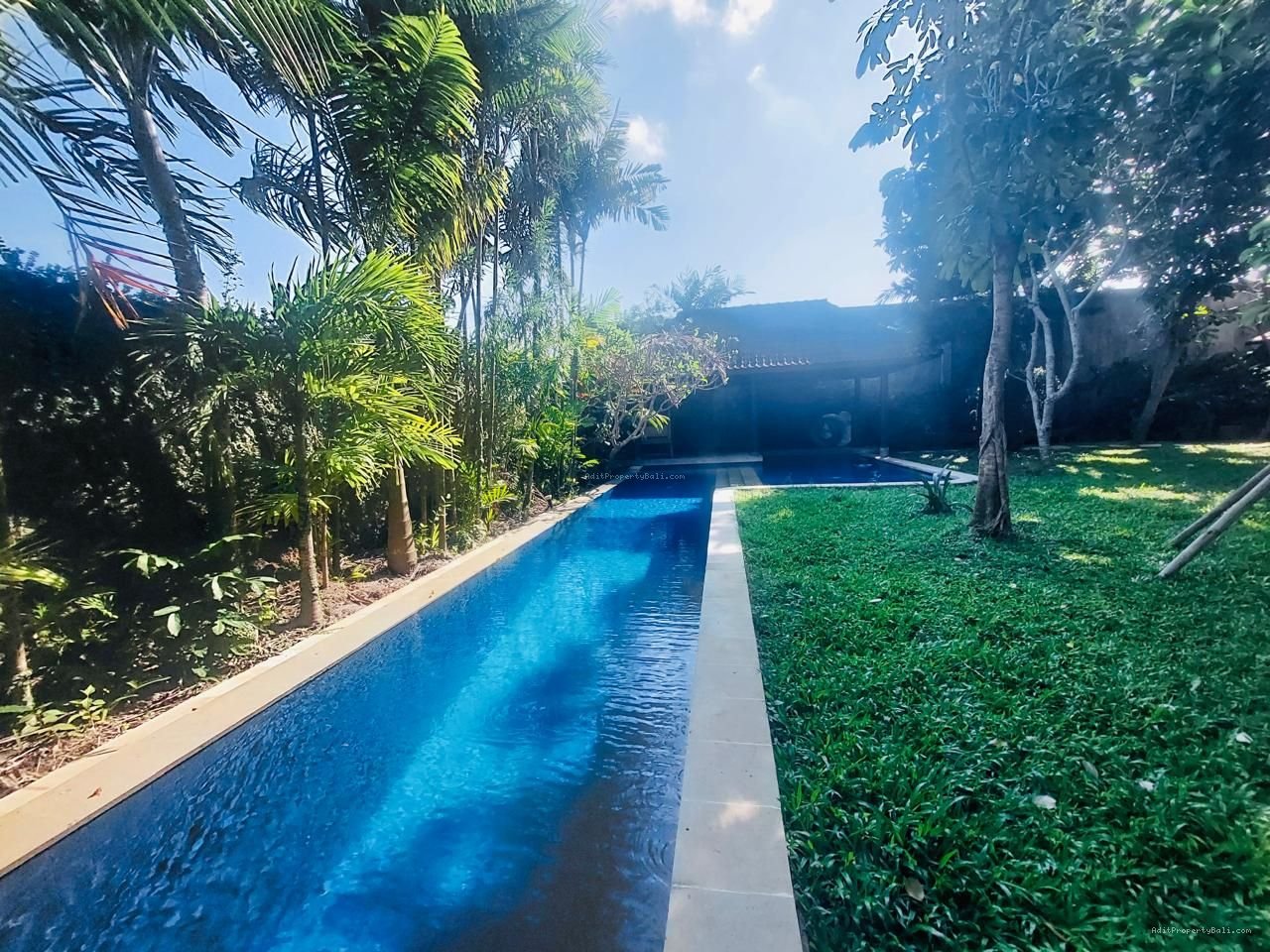 Tanah berawa canggu bali