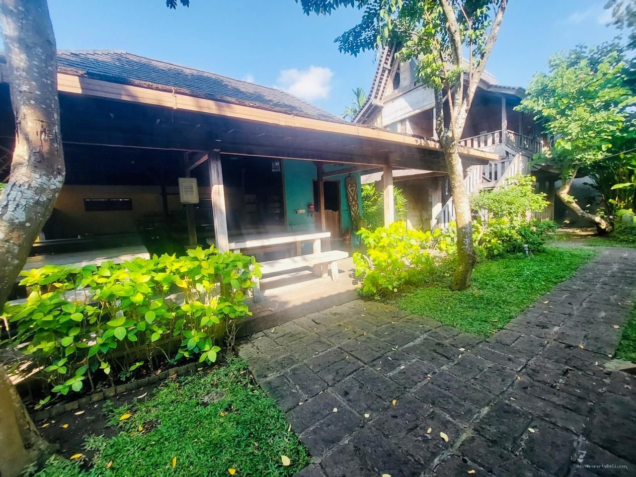 Tanah berawa canggu bali