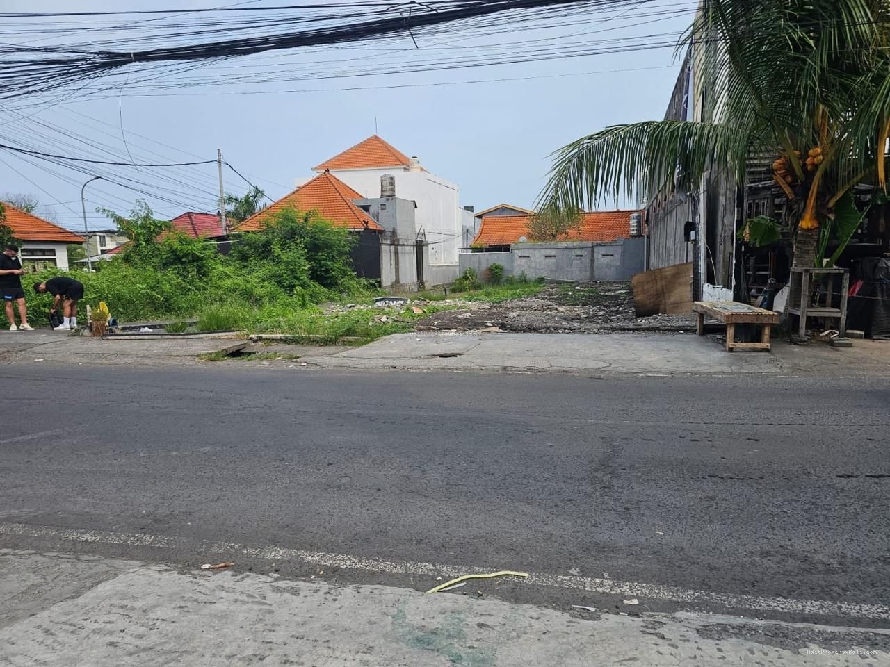 Tanah raya semat berawa canggu