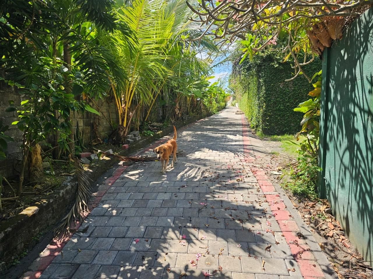 Tanah Premium Batubolong Canggu Badung