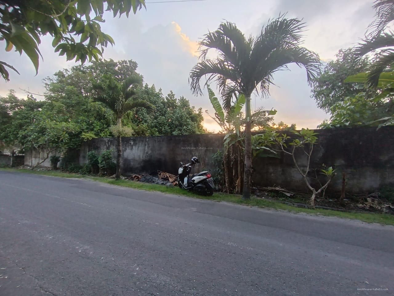 Tanah Kayu Tulang Utara Canggu Badung
