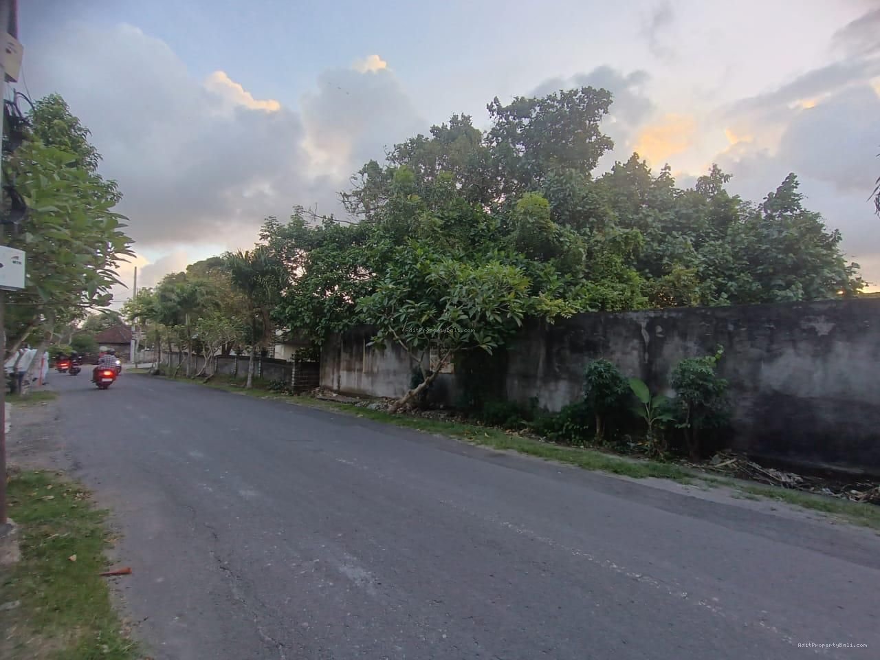 Tanah Kayu Tulang Utara Canggu Badung