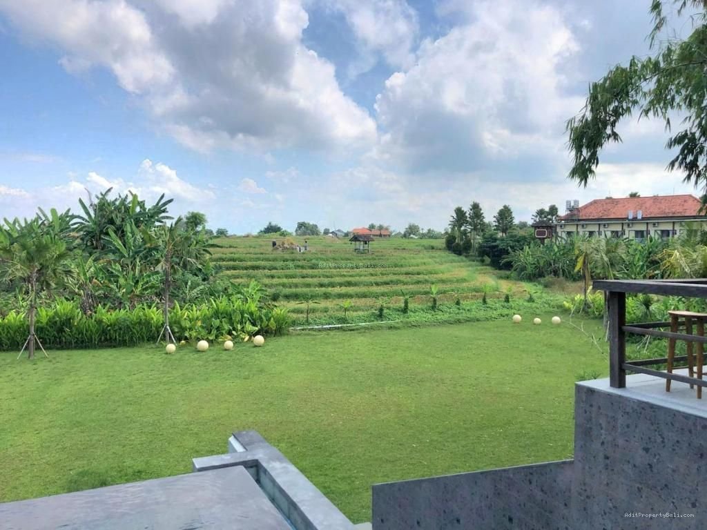 Tanah View Sawah babakan Canggu Badung