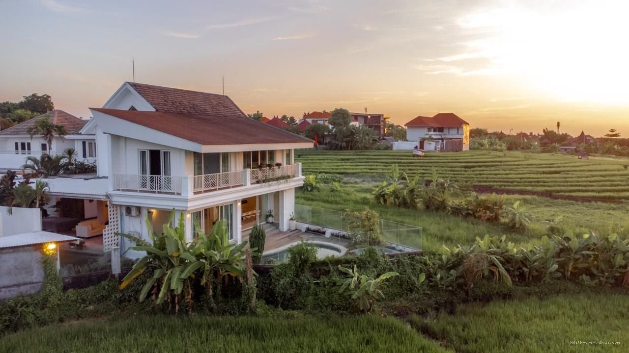 Villa View Sawah Berawa Canggu Badung
