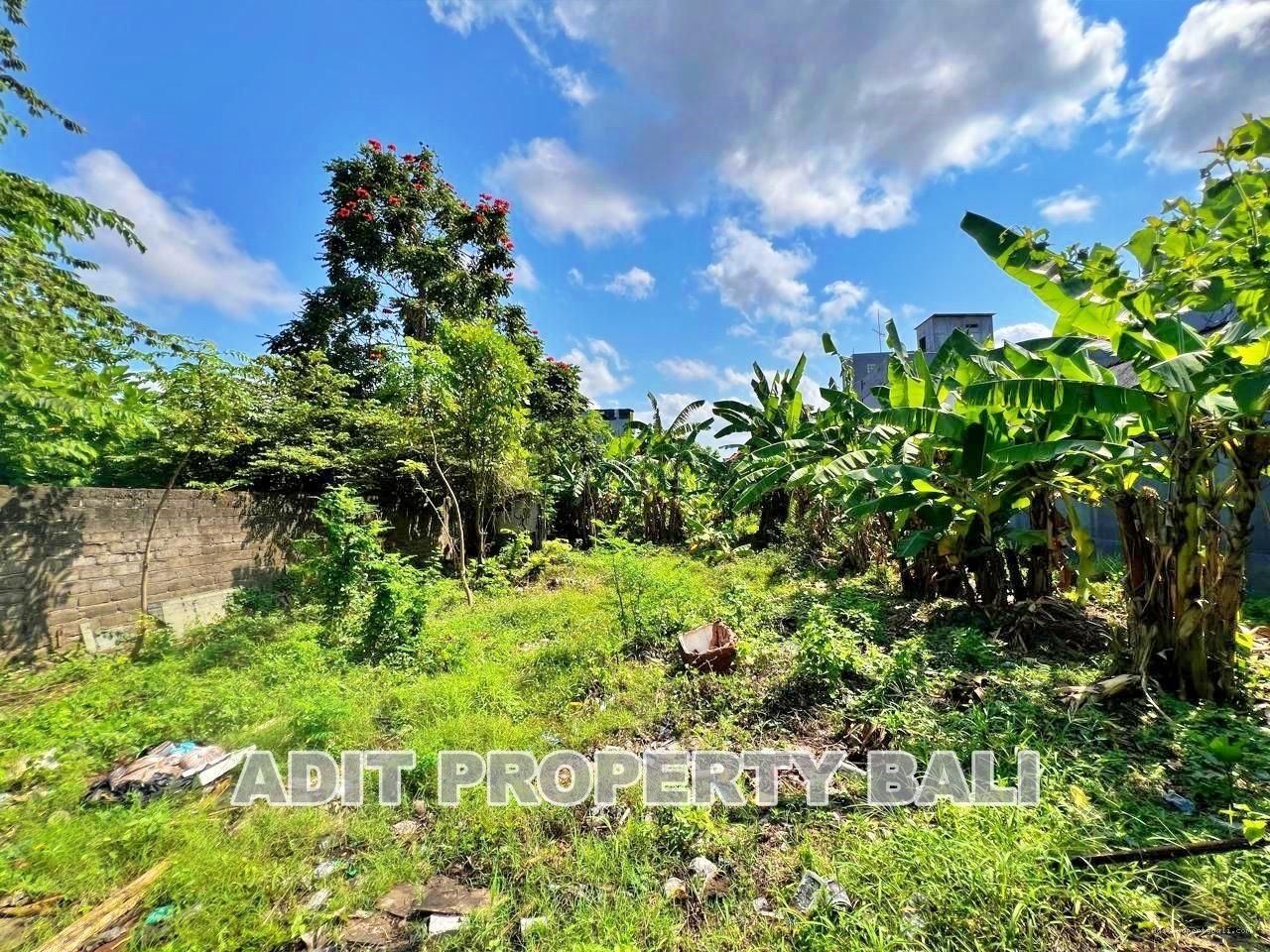 Tanah Pura demak denpasar bali