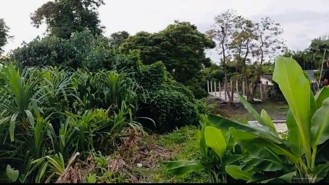 Tanah raya tumbak bayuh mengwi