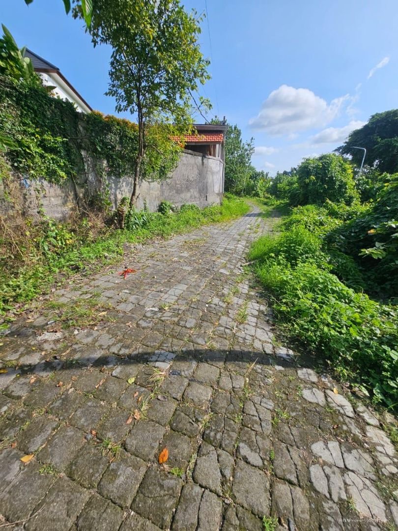 Tanah pantai perereran canggu