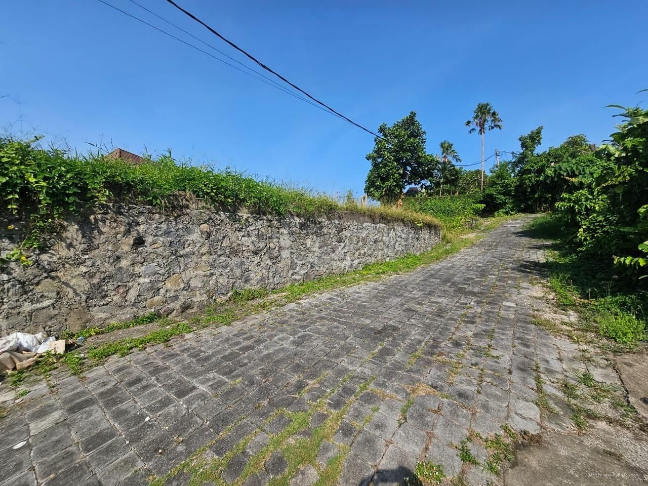 Tanah pantai perereran canggu