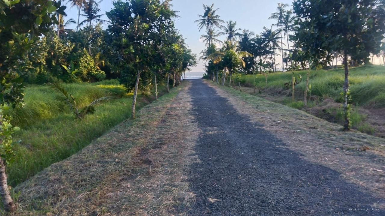 Tanah beach front Pantai kedungu tabanan