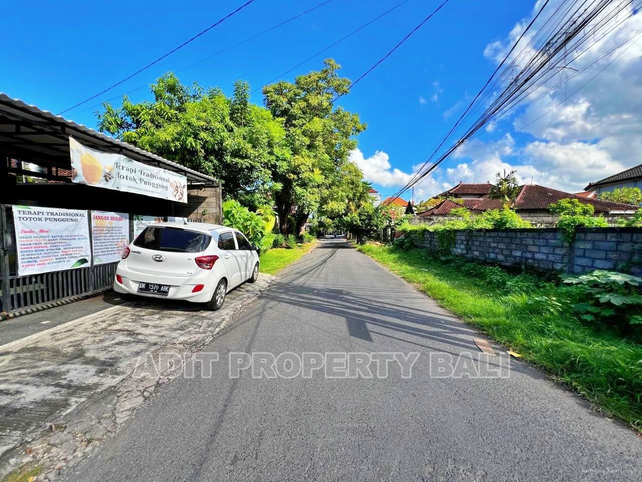 Tanah Badak agung renon