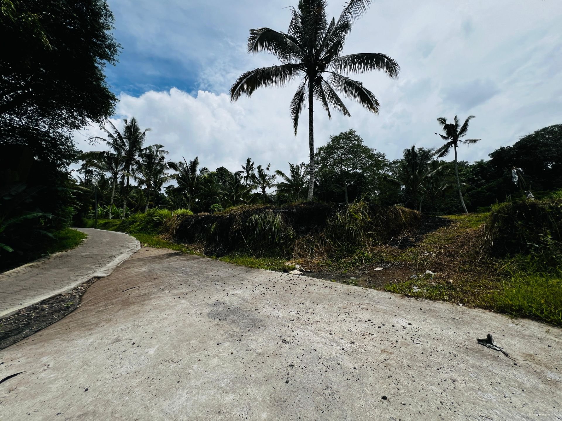 Tanah murah jungle payangan ubud
