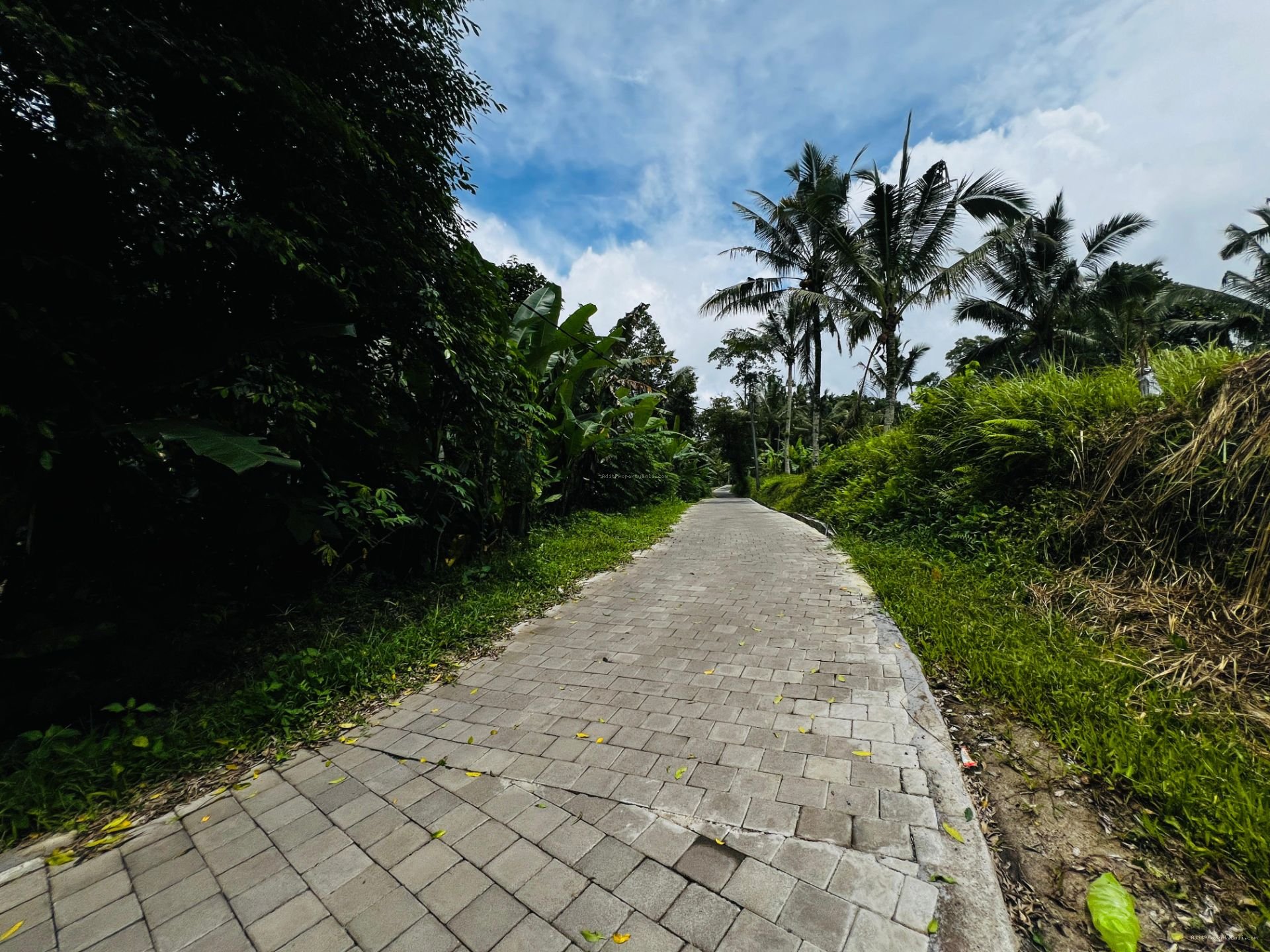 Tanah murah jungle payangan ubud