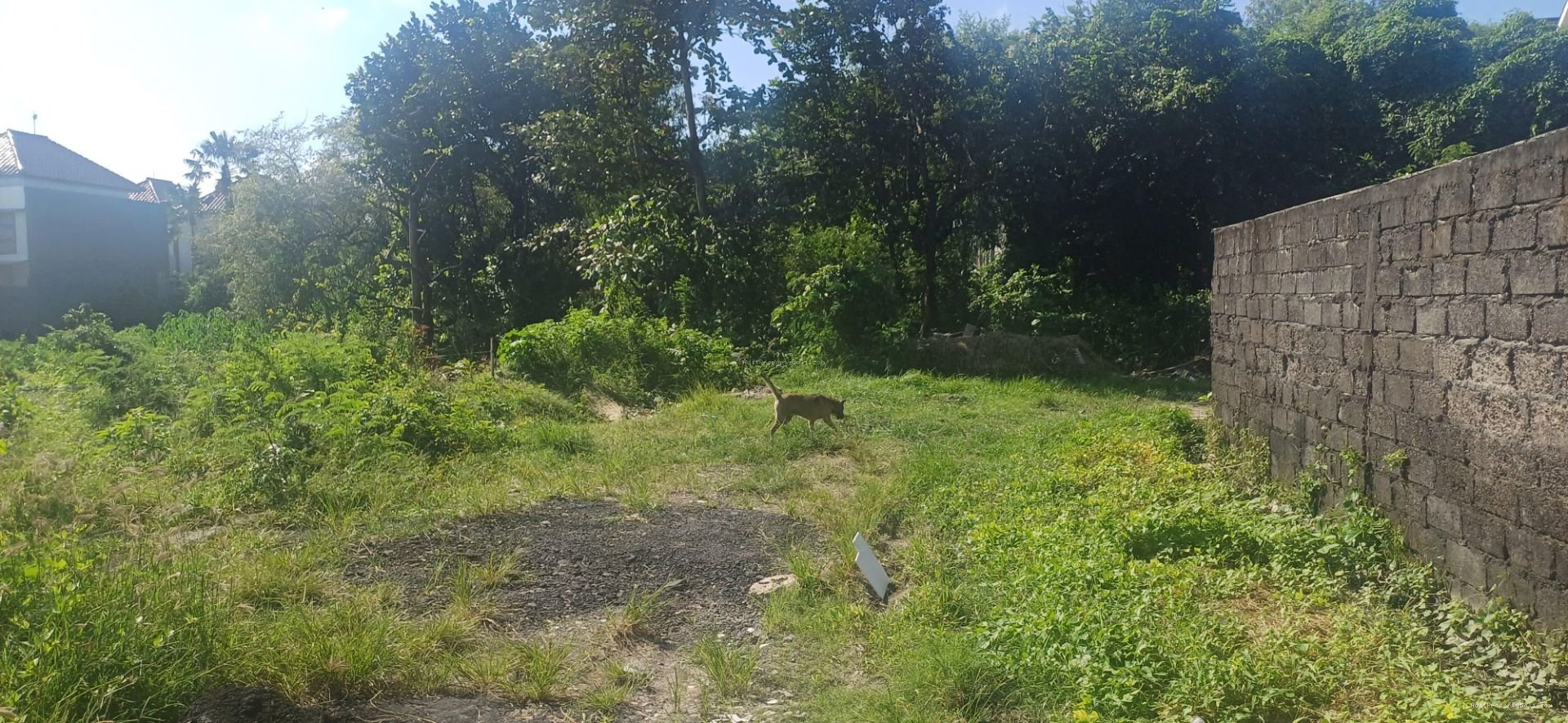 Tanah Pura Banyukuning Padangsambian Kelod Denpasar