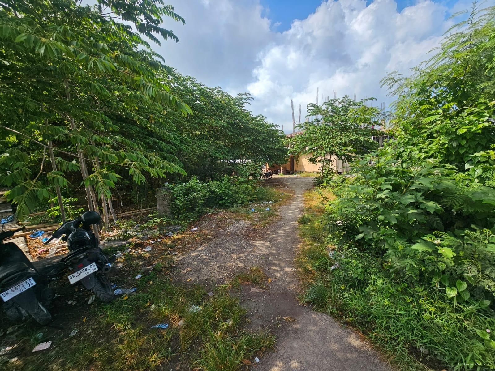 Tanah premium berawa canggu bali