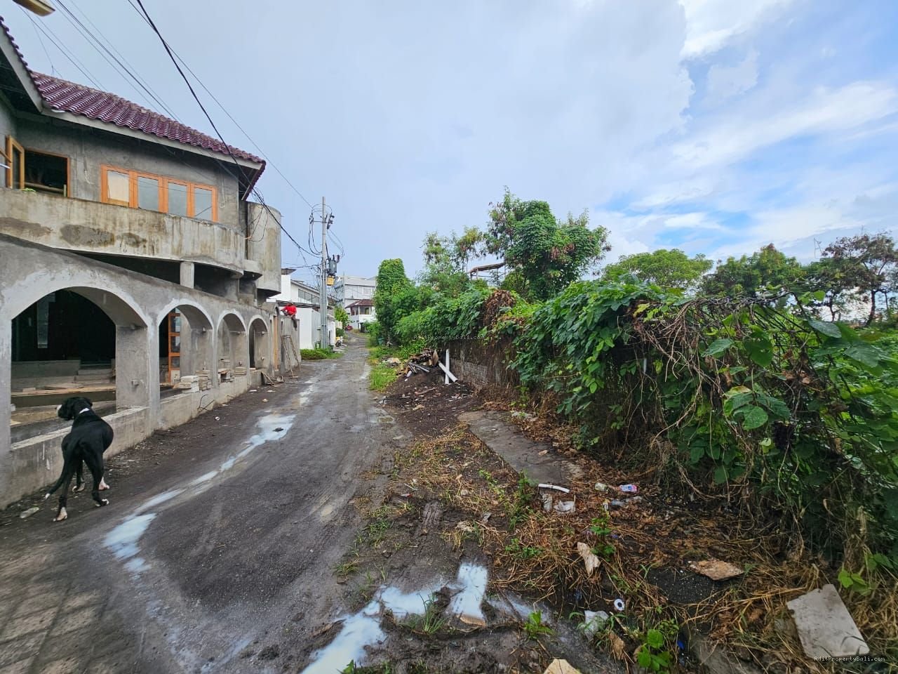 Tanah murah semat berawa canggu