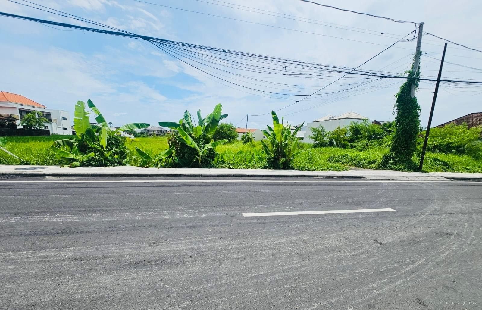 Tanah Raya Pantai Cemagi Mengwi Badung