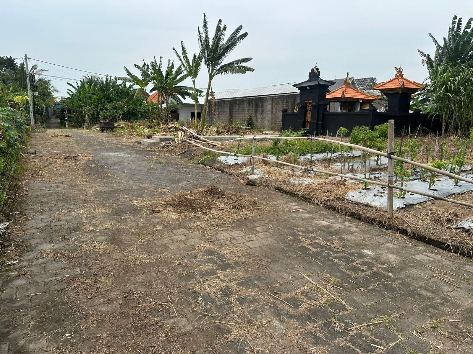 Tanah Kavling Kedungu Tabanan Bali