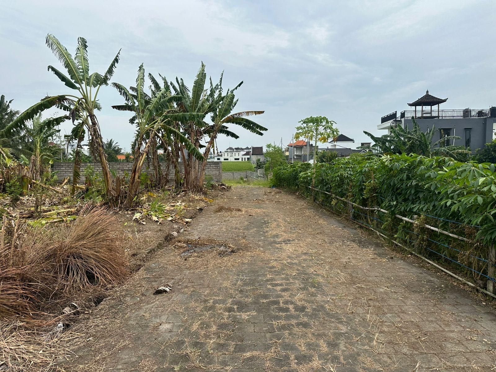 Tanah Kavling Kedungu Tabanan Bali