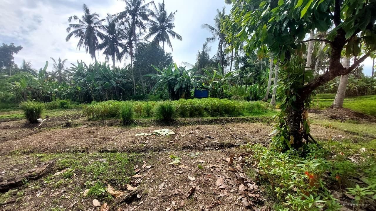 Tanah Los Sungai Kedungu Kediri Tabanan Bali