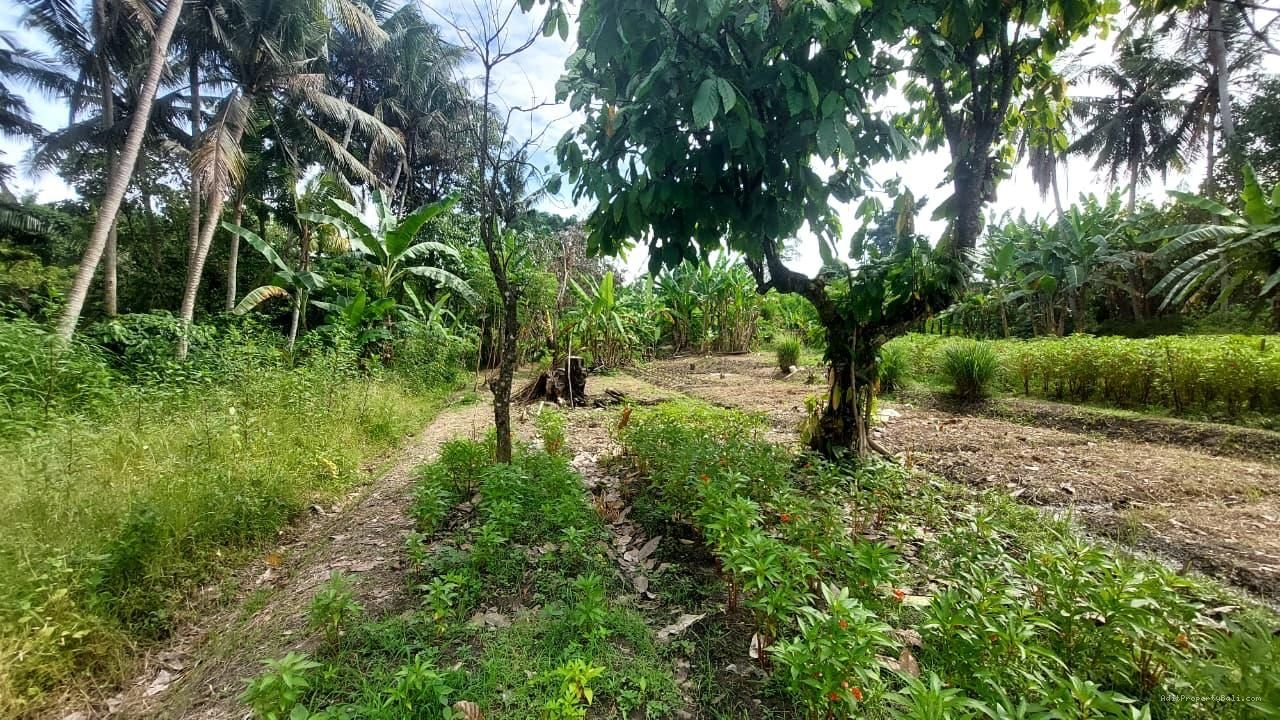 Tanah Los Sungai Kedungu Kediri Tabanan Bali