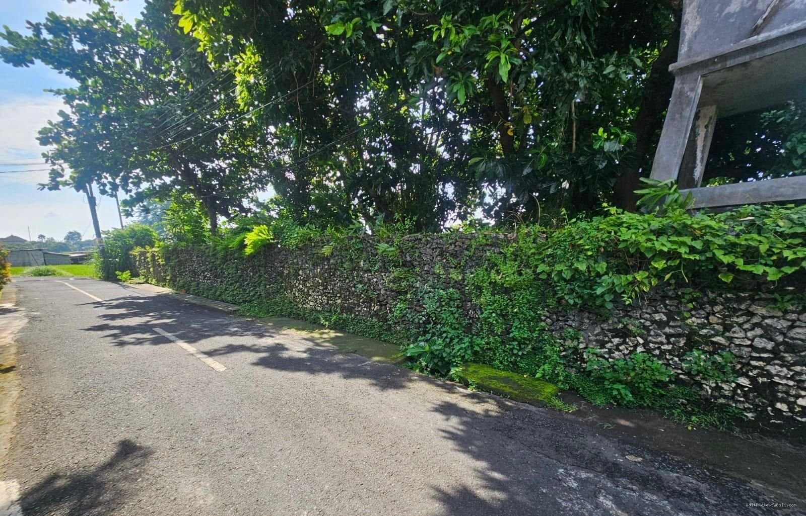 Tanah Kuwum Kerobokan Kuta Utara Badung Bali